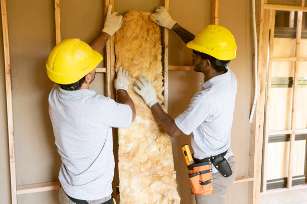 Best Blown-In Insulation  in Catoosa, OK